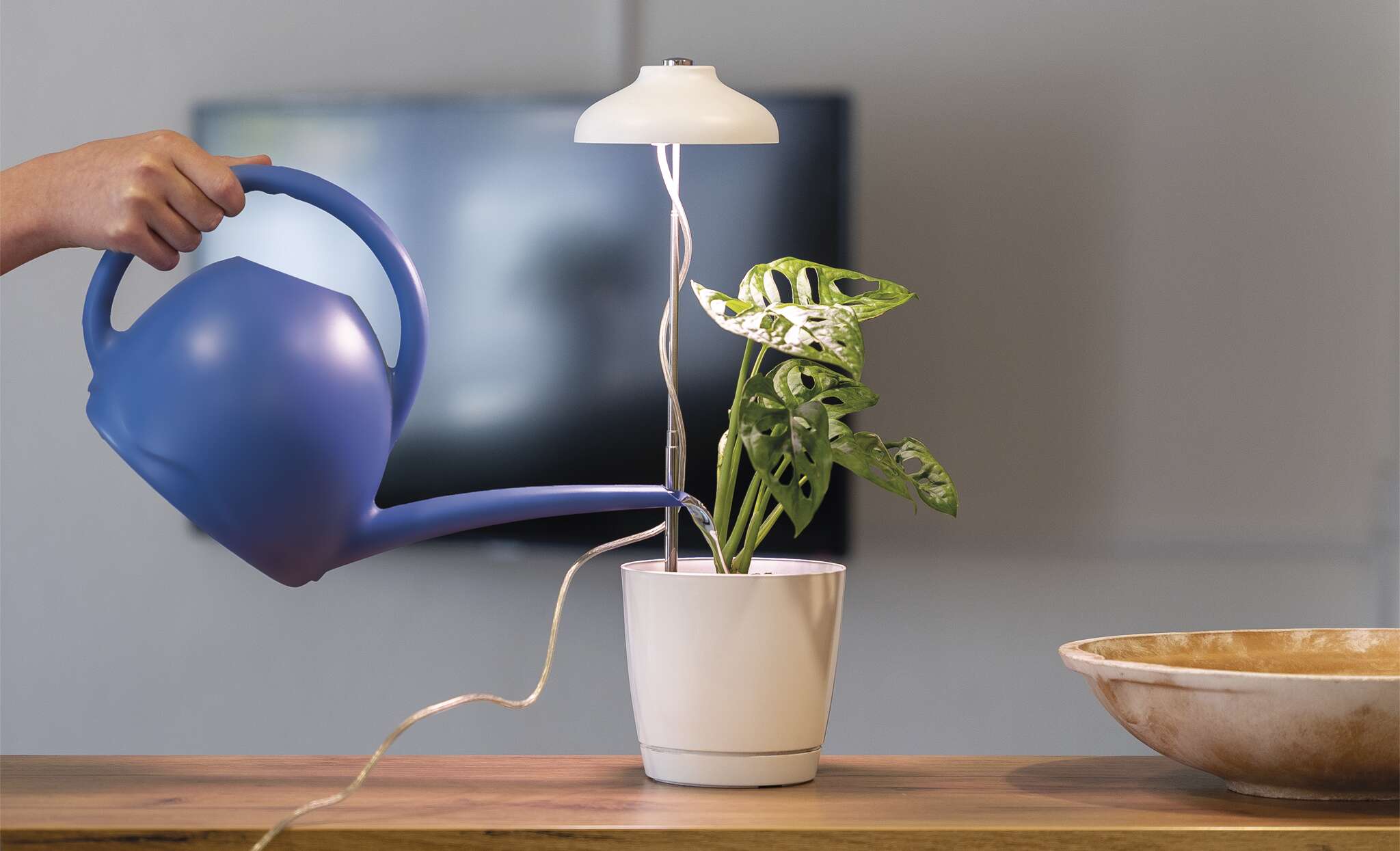 LED osvětlení na pěstování rostlin 1